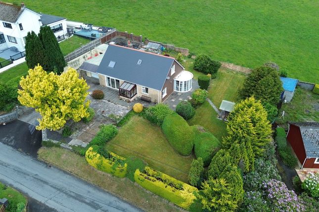 Bodlondeb, Maestir Road, Lampeter photo 2