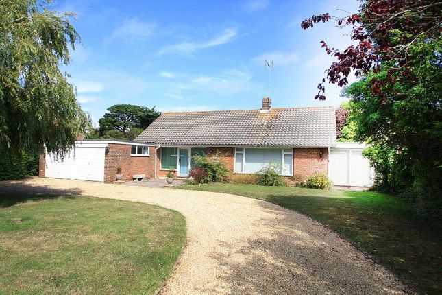Thumbnail Bungalow to rent in Myrtle Grove, Willowhayne, East Preston, West Sussex