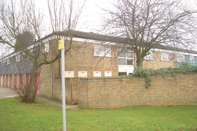 Front Aspect
