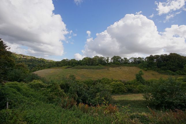 Flat Woodland View, 3, Tetbury Lane, Gloucestershire photo 3