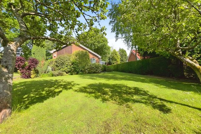 31, Woodlands, Newcastle Upon Tyne photo 4