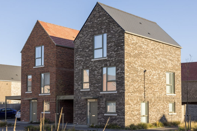 The Ellis, Number 66.