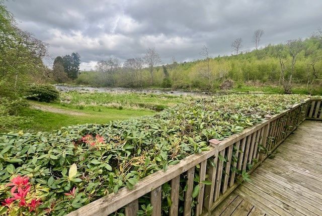 LP247 Cosalt Matisse Lodge at Lowther Holiday Park, Eamont Bridge, Penrith photo 4
