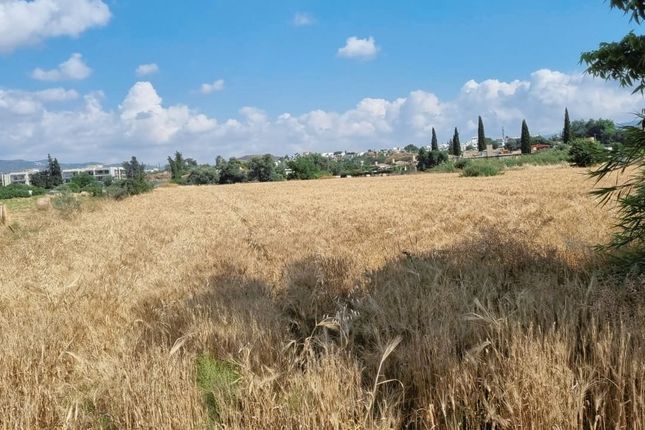 Land for sale in Kannaviou, Cyprus
