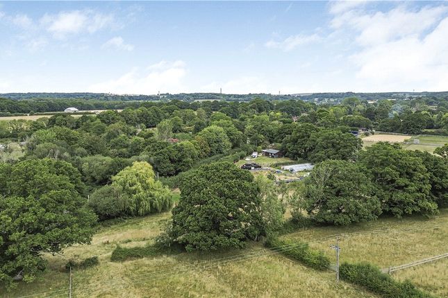 Collyers Farm,, Forest Road, Hambledon photo 2