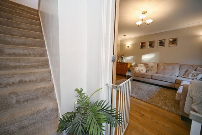 Meadow Road, Barnsley photo 3