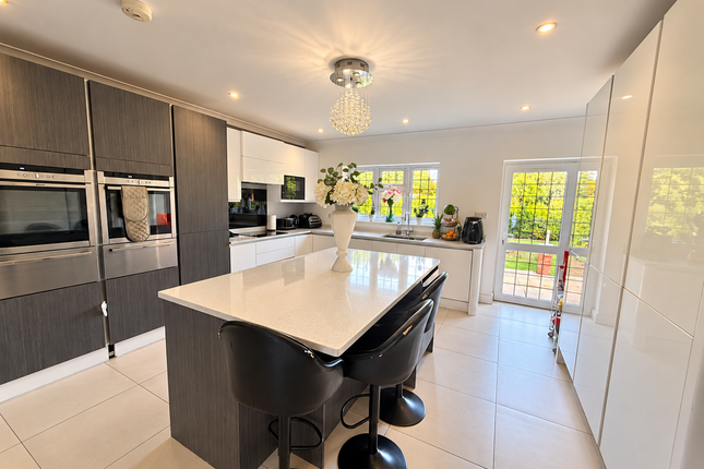 6, Orpington photo 3