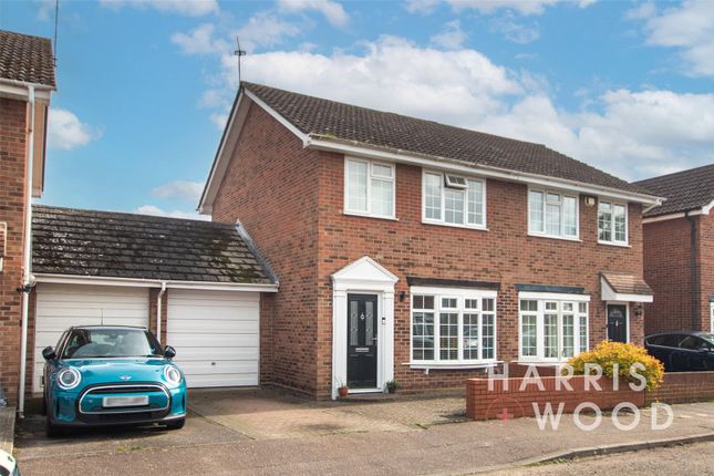 Thumbnail Semi-detached house for sale in Becker Road, Colchester, Essex
