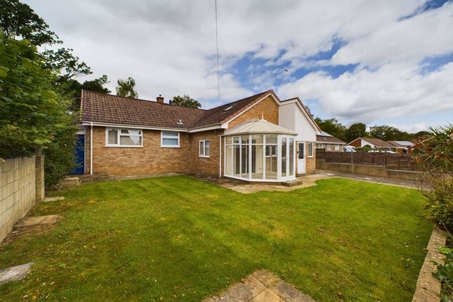 Thumbnail Bungalow for sale in The Beagles, Cashes Green, Stroud