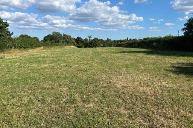 Site