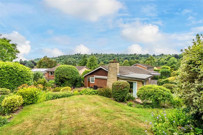 29A,, Gatton Road, Surrey photo 4