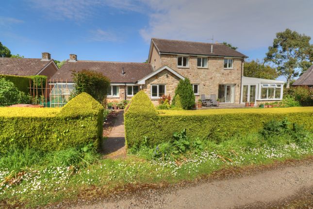 Thumbnail Detached house for sale in The Limes, Rock Village, Alnwick