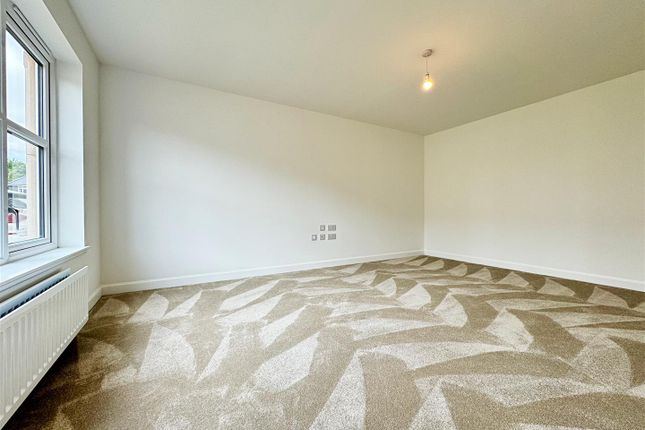3, Kerry Grove, Hamilton photo 4
