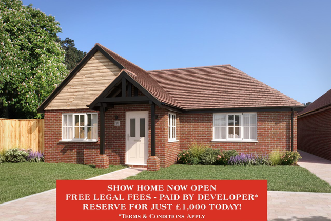 Detached bungalow for sale in Fryatts Way, Bexhill On Sea