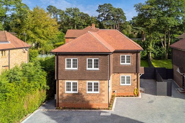 Thumbnail Detached house to rent in Wood Road, Hindhead