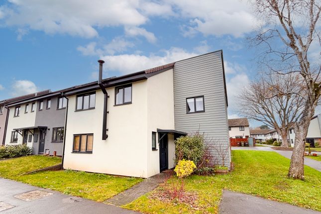 Img_6665-Edit Copy-2