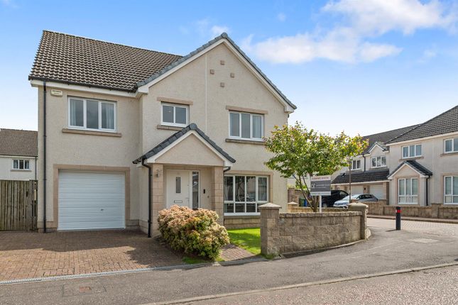 Thumbnail Detached house for sale in Galbraith Crescent, Larbert