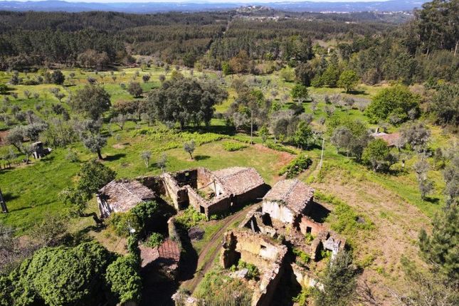 Land for sale in Pedrógão Pequeno, Pedrógão Pequeno, Sertã, Castelo Branco, Central Portugal