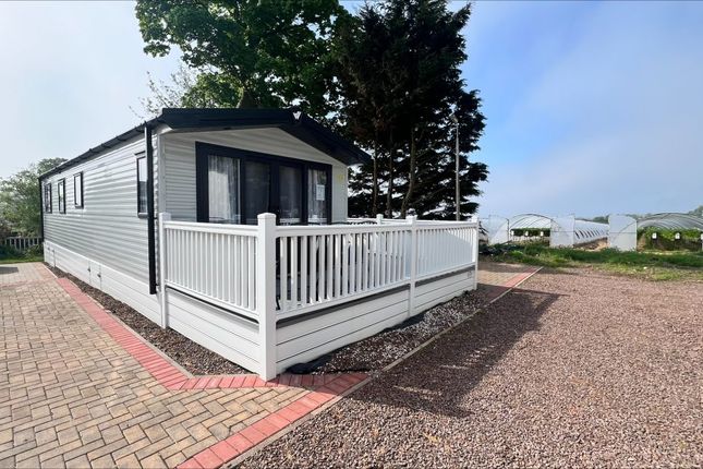 Thumbnail Property for sale in Seaton Road, Arbroath
