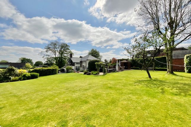 The Mount, Market Drayton photo 4