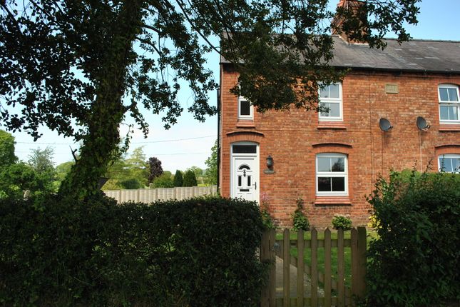 Thumbnail Semi-detached house to rent in Hampton, Malpas, Cheshire
