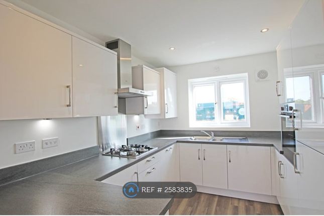 Open Plan Kitchen