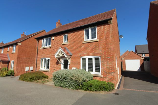 Thumbnail Detached house for sale in Marigold Close, Lutterworth