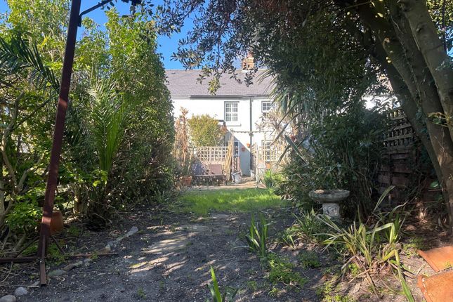 25, Belmont, Walmer photo 5