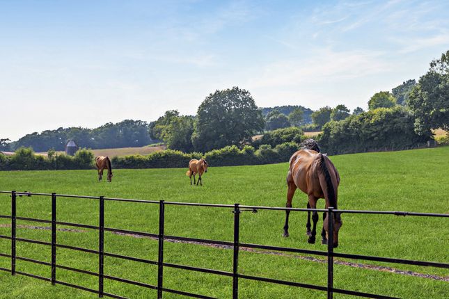 Greenacres,, Brithem Bottom, Devon photo 2