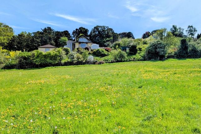 House From Fields