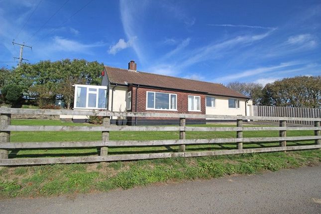 Thumbnail Bungalow to rent in Stibb, Bude