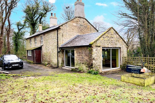 Detached house to rent in Birling, Warkworth, Morpeth