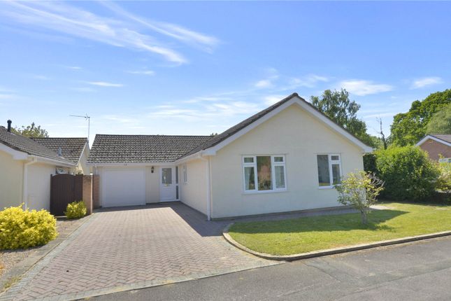 Thumbnail Bungalow for sale in Canterbury Close, West Moors, Ferndown