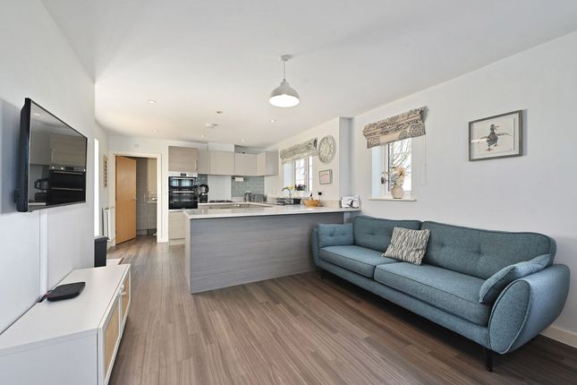 8 Cormorant Place, Ashford photo 3