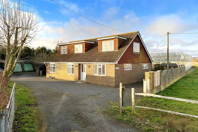Thumbnail Detached house for sale in Old Mead Road, Lyminster, Littlehampton, West Sussex