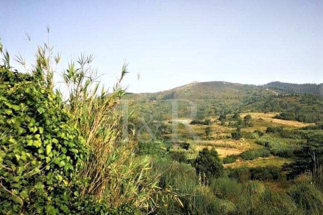 Thumbnail Land for sale in Malveira Da Serra, Alcabideche, Cascais