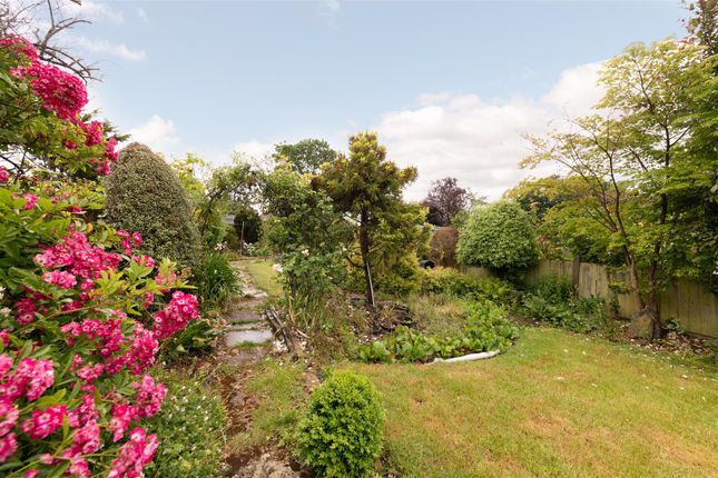 93, Arnos Grove, London photo 3
