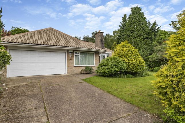 Thumbnail Detached bungalow for sale in Chestnut Drive, Mansfield