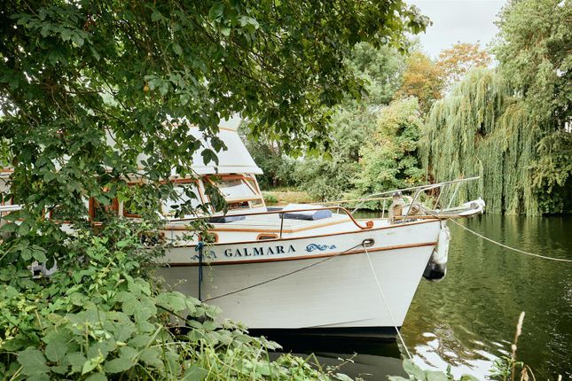 Houseboat for sale in Ryepeck Meadows Mooring, Shepperton