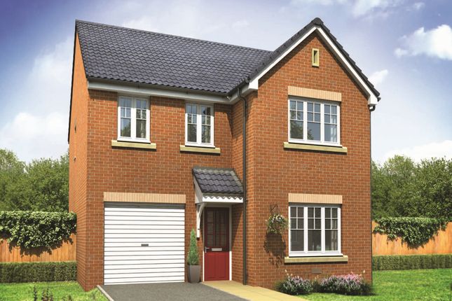 Thumbnail Detached house for sale in "The Downing" at Harland Way, Cottingham