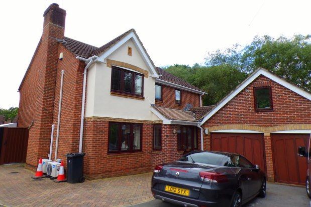 Thumbnail Room to rent in 2 Liederbach Drive, Verwood