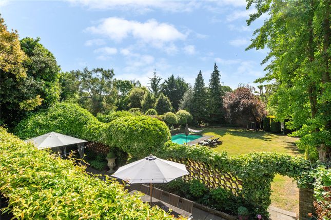 View Over Garden