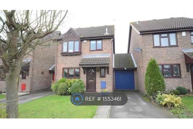 Thumbnail Detached house to rent in Hilmanton, Lower Earley, Reading