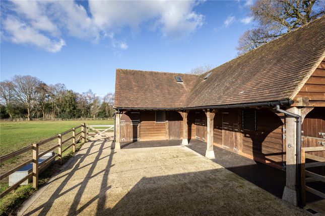Detached house to rent in Marley Common, Haslemere, Surrey