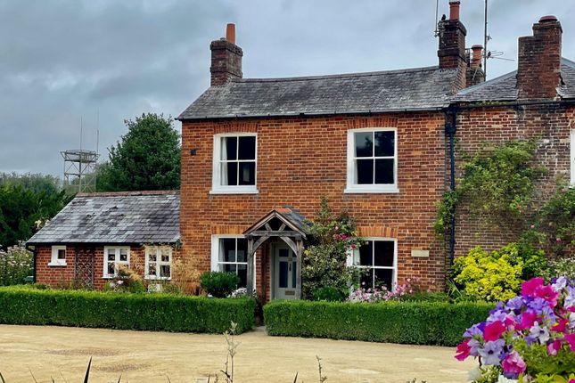 Thumbnail Semi-detached house to rent in Winchester Street, Whitchurch