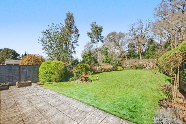 Conifers Curdridge Lane, Southampton photo 4