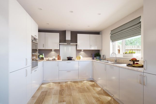 The Plumdale - Plot 321, Manor Gardens, Brownhill Way, Wynyard photo 3