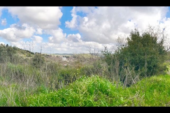 Thumbnail Land for sale in Stroumbi, Paphos, Cyprus