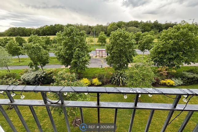 Anderton Crescent, Buckshaw Village, Chorley photo 5