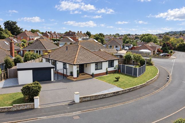 24, Fairview Crescent, Sandown photo 2